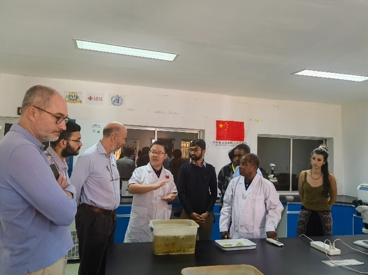 活動現(xiàn)場。專家組供圖