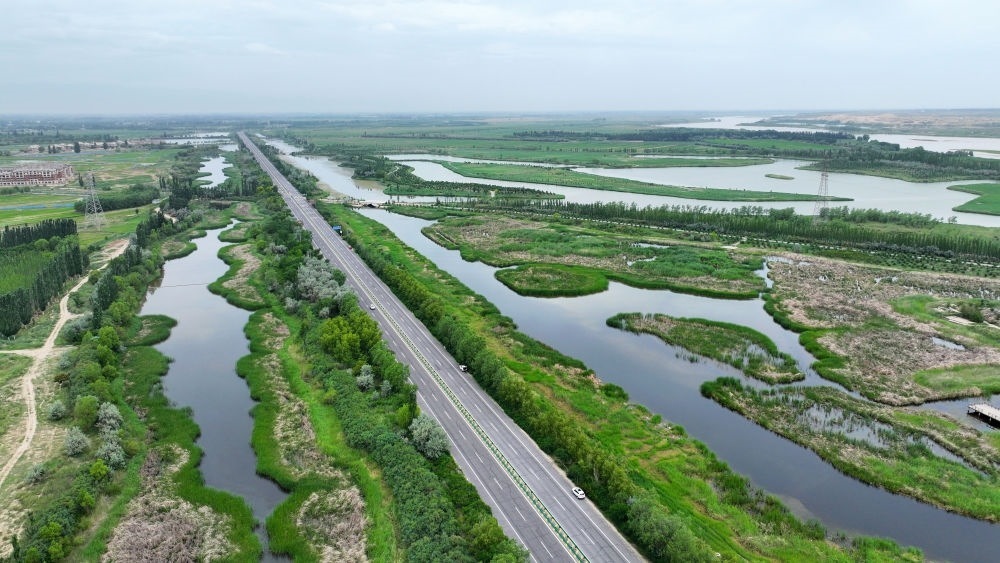 這是2024年6月13日拍攝的黃河寧夏段濱河大道（無人機照片）。近年來，寧夏努力建設(shè)黃河流域生態(tài)保護(hù)和高質(zhì)量發(fā)展先行區(qū)，全力打好黃河保護(hù)持久戰(zhàn)。新華社記者 王鵬 攝