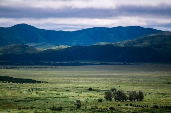 2023年8月4日拍攝的大興安嶺南麓內(nèi)蒙古罕山國家級自然保護區(qū)風(fēng)光。新華社記者 連振 攝