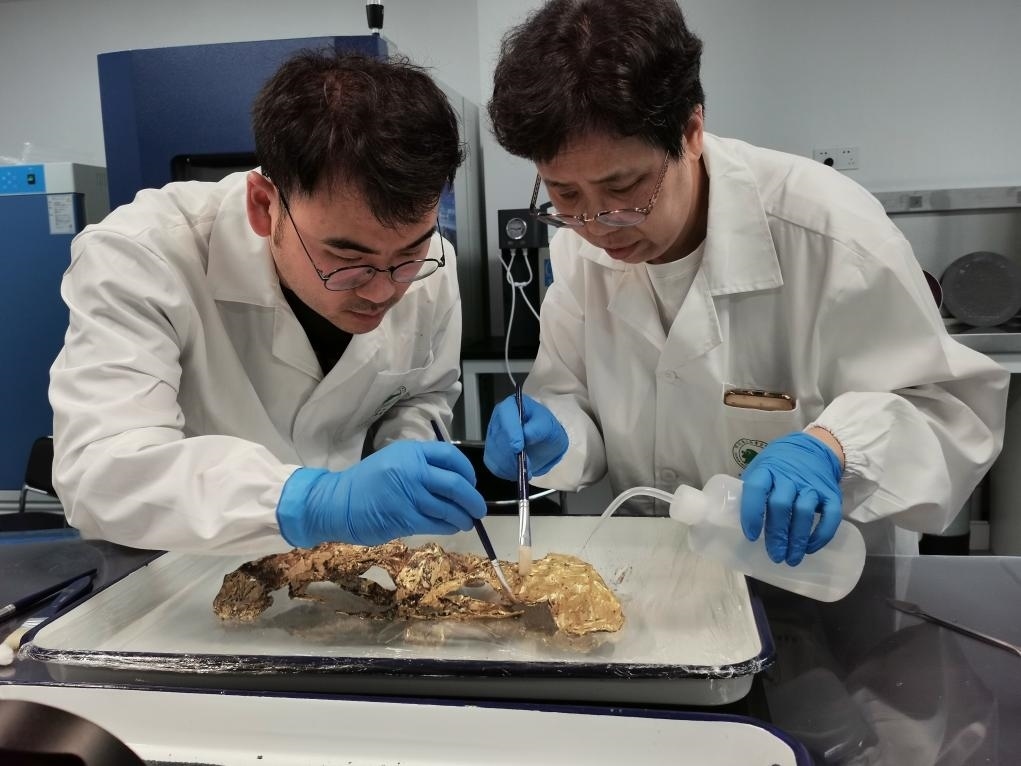 2023年7月，馬燕如（右）帶著魯海子（左）修復(fù)三星堆遺址出土的黃金面具。新華社發(fā)（四川省文物考古研究院供圖）