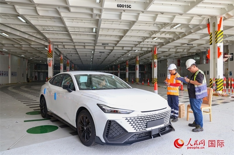 工人正在進(jìn)行卸車作業(yè)。人民網(wǎng)記者 任皓宇攝