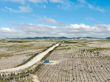 剛剛竣工的其白線穿沙公路。