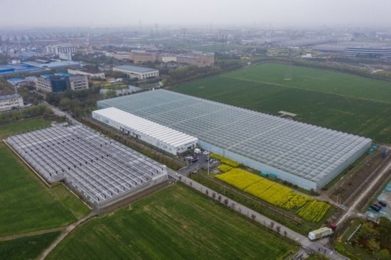 2024年3月28日，空中俯瞰嘉興南湖區(qū)湘家蕩農(nóng)業(yè)數(shù)字化工廠（無人機(jī)照片）。該農(nóng)業(yè)數(shù)字化工廠占地總面積約62畝，包含智慧農(nóng)業(yè)生產(chǎn)、物聯(lián)網(wǎng)智能管理、自動分揀包裝、保鮮儲藏物流、高科技示范展示等五大功能區(qū)，可直接或間接培養(yǎng)帶動新型職業(yè)技術(shù)農(nóng)民500人以上。新華社記者 徐昱 攝