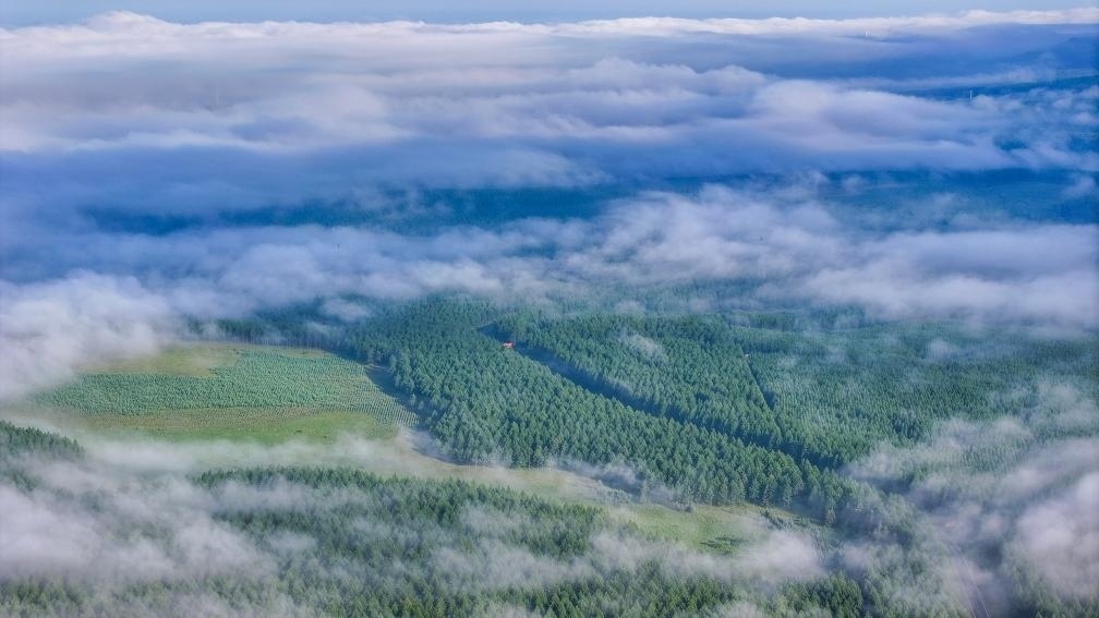 2024年7月26日拍攝的塞罕壩國家級自然保護區(qū)景色。新華社發(fā)（劉滿倉 攝）