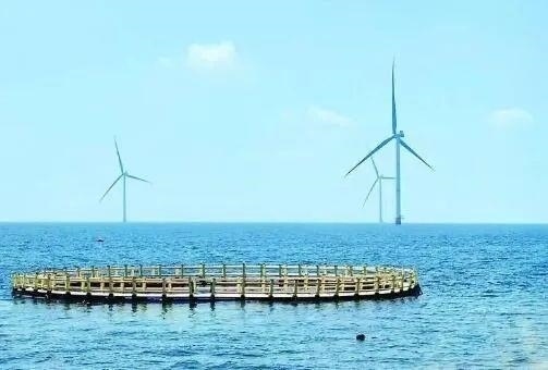 △山東萊州風電項目實現(xiàn)了海上風電和海洋牧場融合發(fā)展。