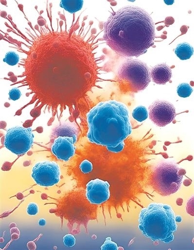 用氯化鈉處理的高活性CD8 T細(xì)胞（紫色），與未經(jīng)處理的細(xì)胞（藍(lán)色）相比，其抗腫瘤能力更強(qiáng)，能夠顯著損傷腫瘤細(xì)胞（紅色）。圖片來源：德國耶拿弗里德里?！は沾髮W(xué)