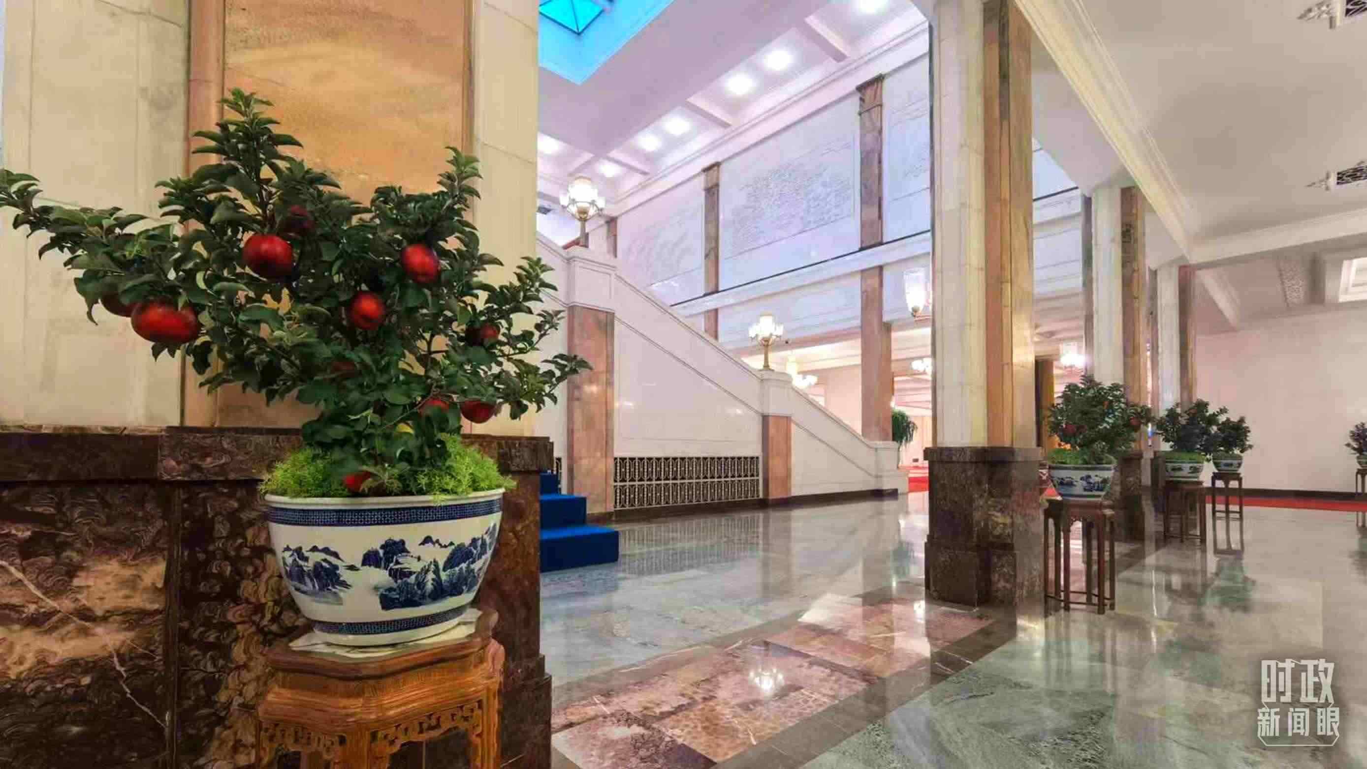  △大會(huì)堂內(nèi)的“碩果累累”盆栽。（總臺(tái)國廣記者吳倩拍攝）