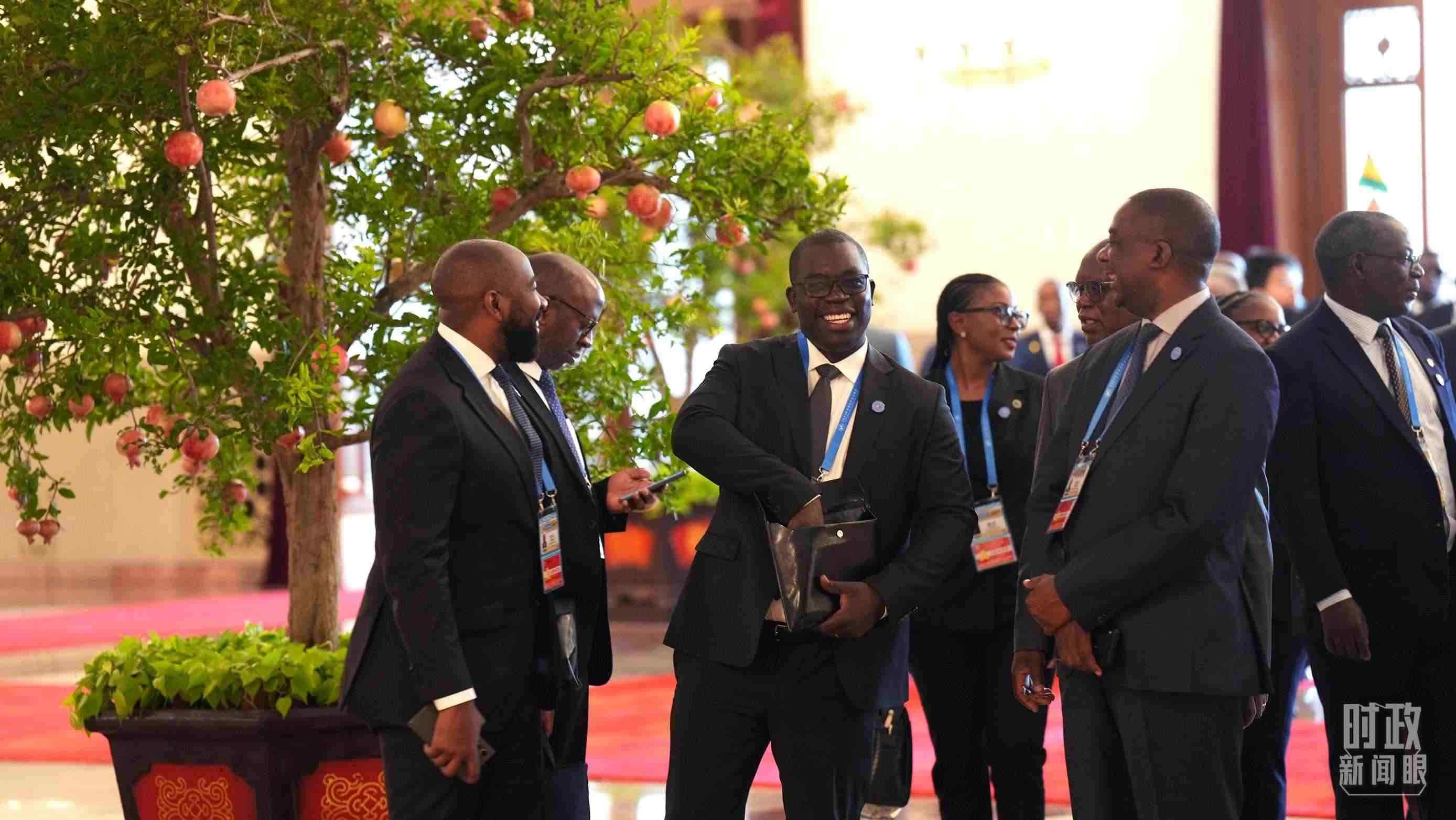 出席中非合作論壇北京峰會(huì)的非洲國家代表。（總臺(tái)記者李晉拍攝）