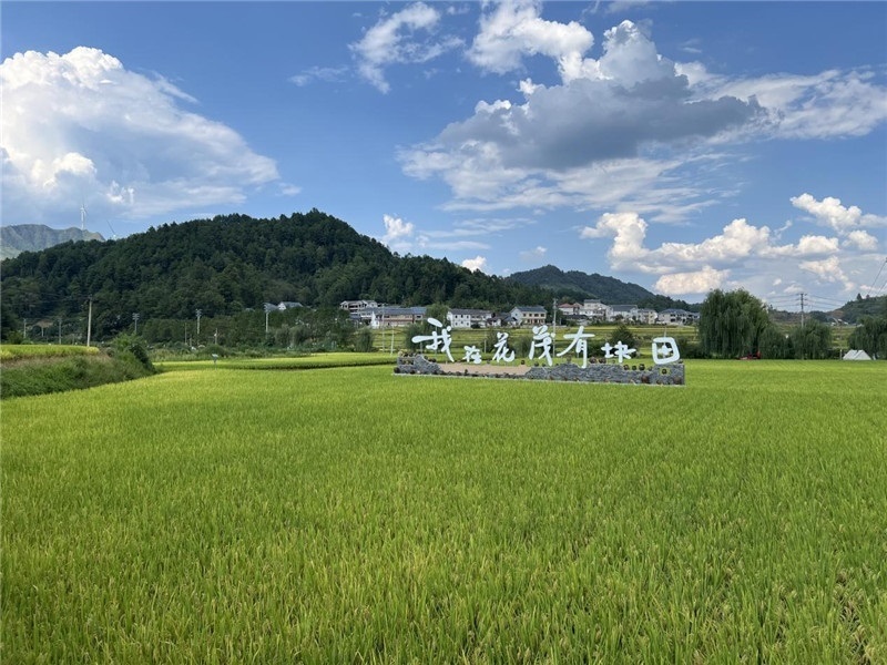 青瓦白磚的黔北民居、風中搖曳的稻田、抬手可觸的大片云朵……才剛下車，格魯吉亞“經濟中心網”總編輯莉安娜·喬爾喬利亞尼就被眼前的景色拖住了步履，喃喃細語：“實在太美了，讓我內心平靜，在這里生活一定非常安逸和幸福?！保ㄇ褫x攝）