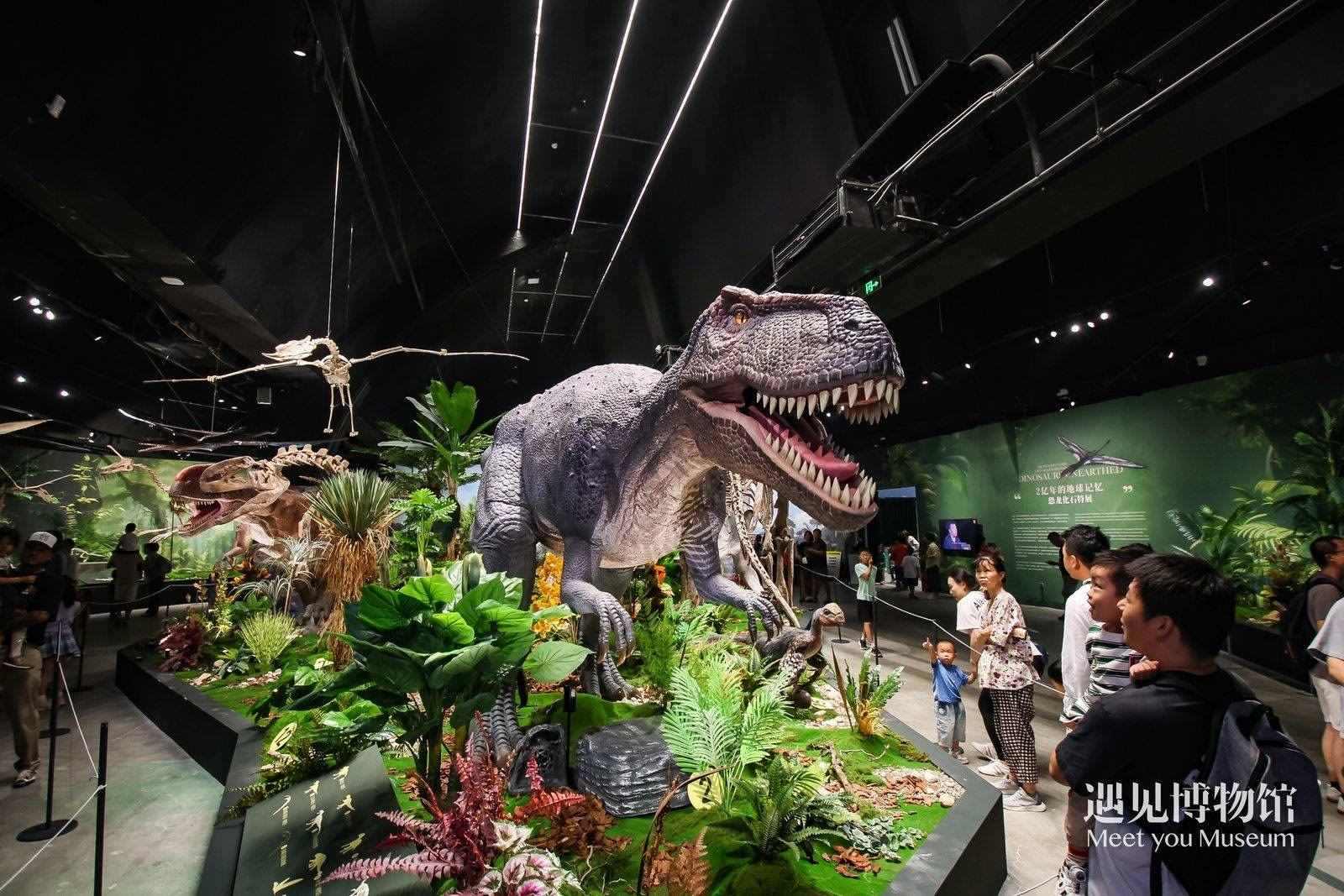 2. 游客參觀“2億年的地球記憶——恐龍化石特展”。遇見博物館供圖