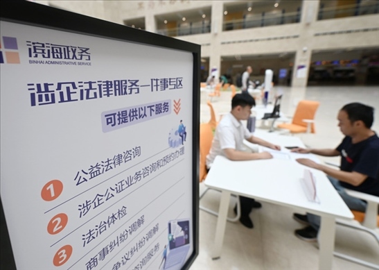 在天津濱海新區(qū)政務服務中心，工作人員在“涉企法律服務一件事”專區(qū)為市民提供服務（2024年7月31日攝）。新華社記者 趙子碩 攝