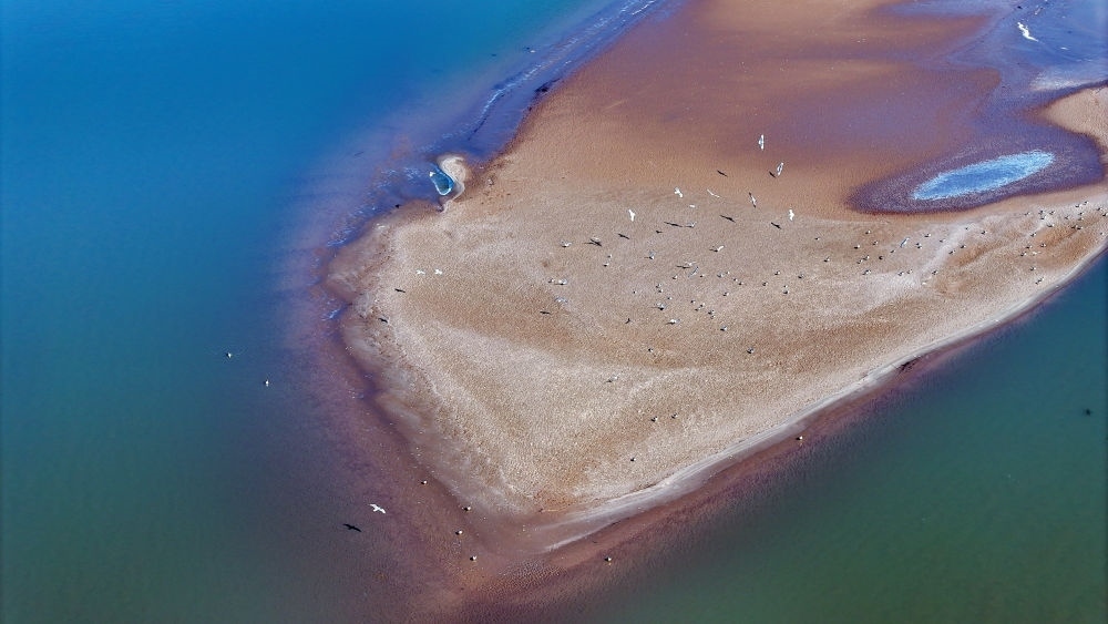2024年3月1日拍攝的黃河寧夏段（無人機照片）。