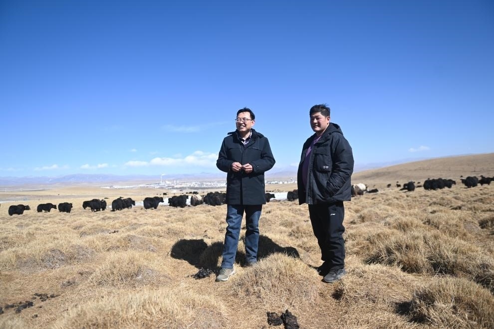 2023年2月24日，在青海省海北藏族自治州海晏縣青海湖鄉(xiāng)達(dá)玉日秀村，全國人大代表董全民（左）查看牧民東知布家的草場。新華社記者 張龍 攝