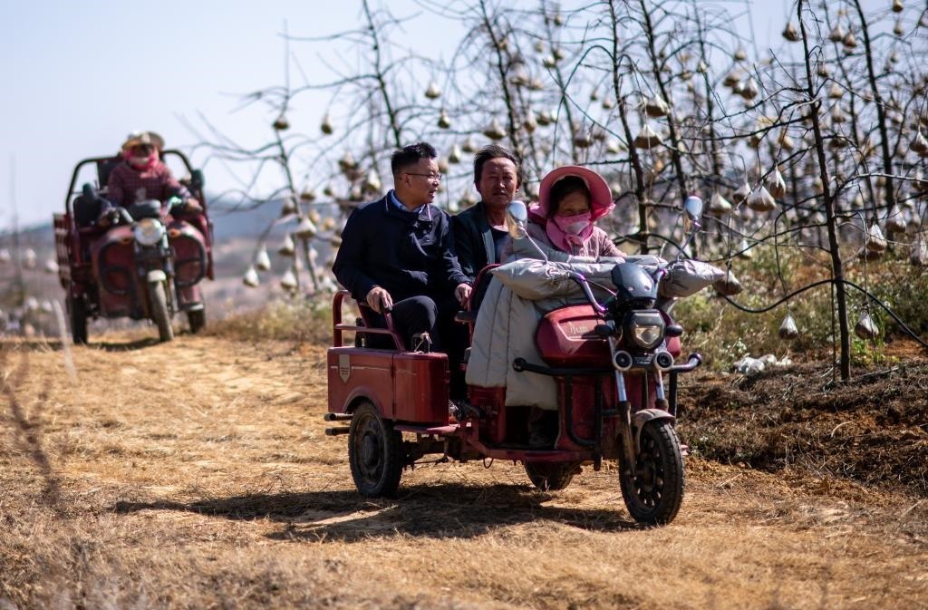 全國人大代表袁海波（右三）在云南省曲靖市馬龍區(qū)一種植基地了解務(wù)工人員就業(yè)需求（2023年2月11日攝）。新華社記者 江文耀 攝