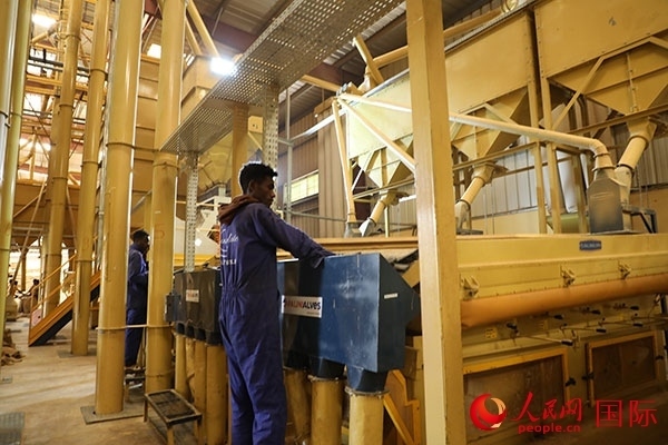 在Bule Hora咖啡加工廠里工作的當(dāng)?shù)毓と藗?。人民網(wǎng)記者 沈小曉攝