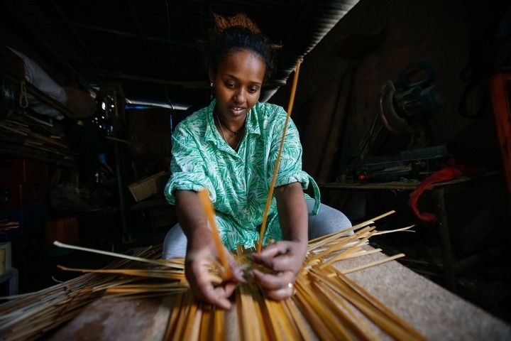 2024年8月10日，菲基爾特·加布雷在埃塞俄比亞首都亞的斯亞貝巴名為“綠色金子”的竹藤工作室里加工竹制產(chǎn)品。新華社發(fā)（邁克爾·特韋爾德 攝）