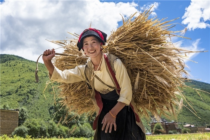 康定市甲根壩鎮(zhèn)青稞豐收，農(nóng)牧民臉上洋溢著豐收的喜悅。林革文攝