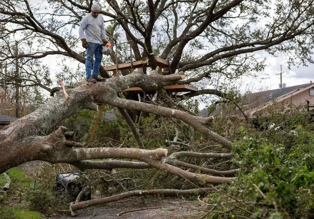 2021年8月30日，在美國路易斯安那州霍馬，一名男子站在被颶風(fēng)吹倒的大樹上。新華社發(fā)（尼克·瓦格納 攝）