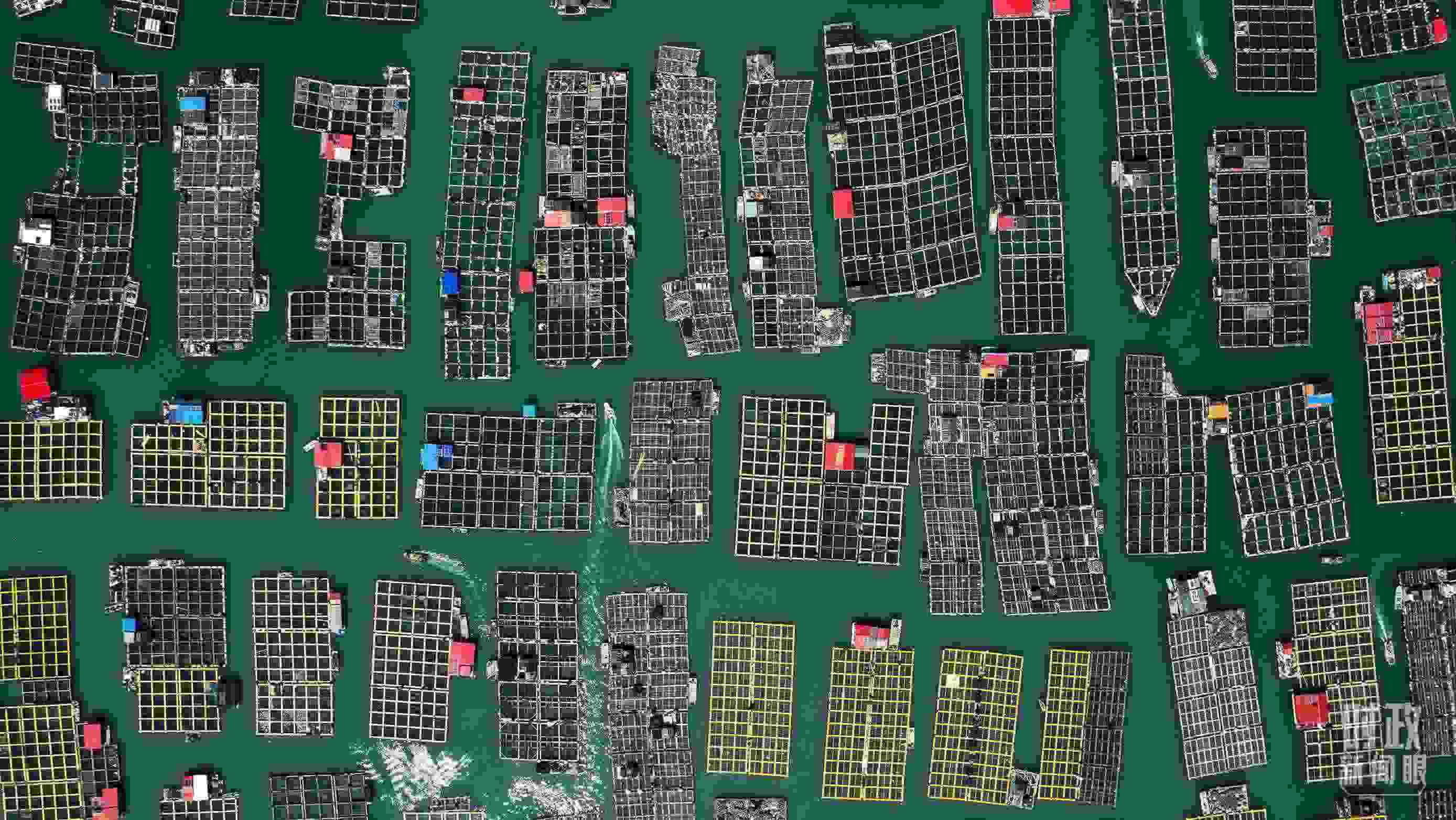 △澳角村。（總臺(tái)記者李晉拍攝）