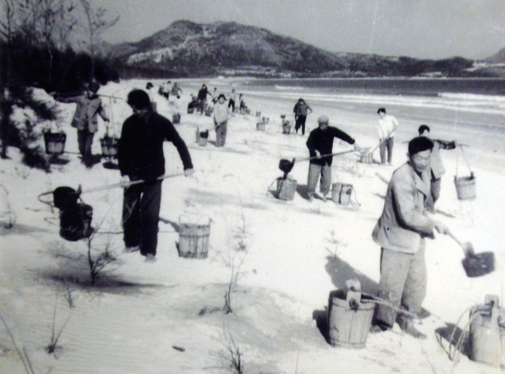 上世紀東山百姓在沙灘造林（資料照片）。