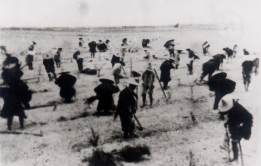 上世紀東山百姓在沙灘造林（資料照片）。