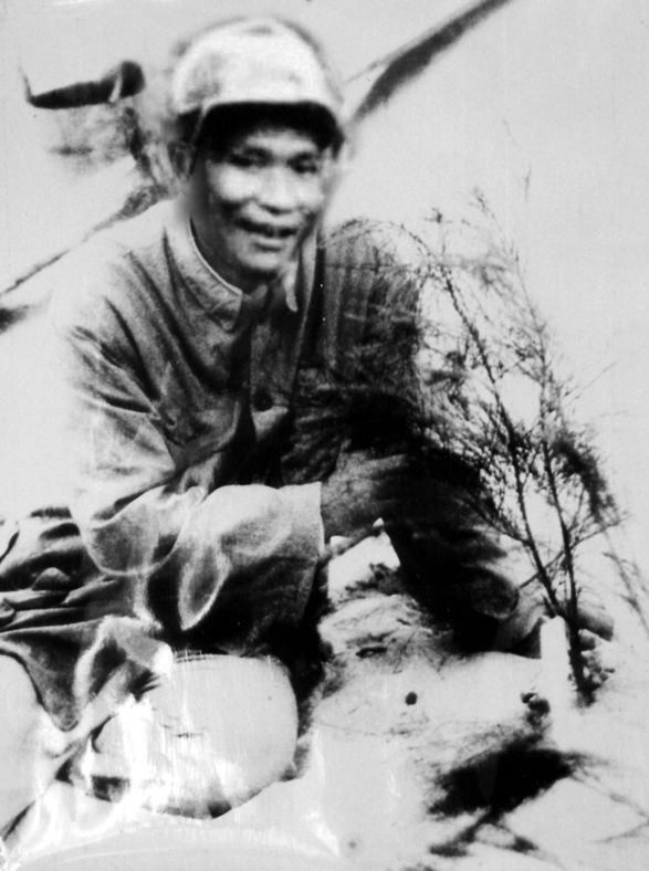 谷文昌與試種成活的木麻黃（資料照片）。為了治沙，谷文昌爬遍了東山縣400多個山頭，踏遍了30多公里的沙灘，終于帶領東山人民試種木麻黃成功。