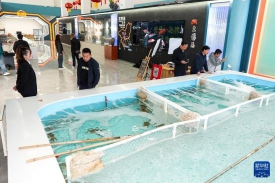 9月20日，游客在吉林省琿春市的帝王蟹保稅店內(nèi)選購(gòu)帝王蟹。新華社記者 許暢 攝