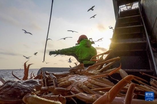 這是俄羅斯蟹業(yè)集團(tuán)工作人員進(jìn)行遠(yuǎn)洋捕撈的資料照片。新華社發(fā)（俄羅斯蟹業(yè)集團(tuán)供圖）