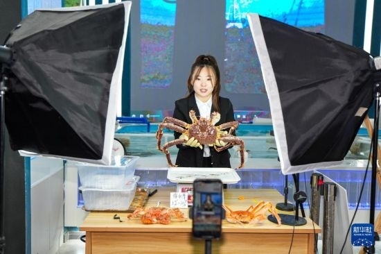 9月20日，在吉林省琿春市的帝王蟹保稅店內(nèi)，工作人員進(jìn)行網(wǎng)絡(luò)直播售賣帝王蟹。新華社記者 許暢 攝