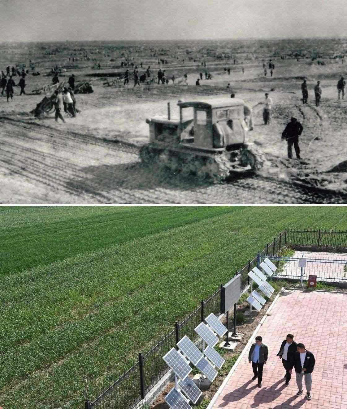 上圖為二十世紀六十年代蘭考改造鹽堿地的情景（資料照片）；下圖為2024年4月18日拍攝的蘭考縣紅廟鎮(zhèn)高標準農(nóng)田示范區(qū)。（新華社記者 朱祥 攝）