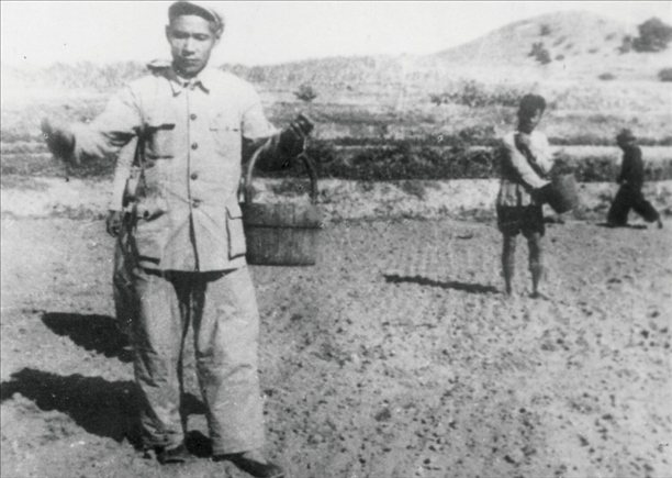 △ 谷文昌在福建省東山縣坑北村參加播種。