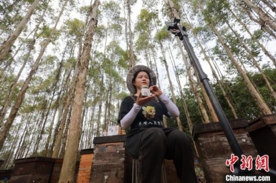 吳素英在網(wǎng)絡(luò)平臺(tái)直播介紹蜜蜂和養(yǎng)蜂情況。湯曉逵 攝