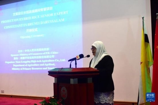 10月26日，文萊初級(jí)資源與旅游部常任秘書(shū)圖蒂亞蒂在斯里巴加灣市出席中國(guó)與文萊雜交水稻高級(jí)專(zhuān)家顧問(wèn)項(xiàng)目啟動(dòng)儀式。新華社記者 李萌 攝