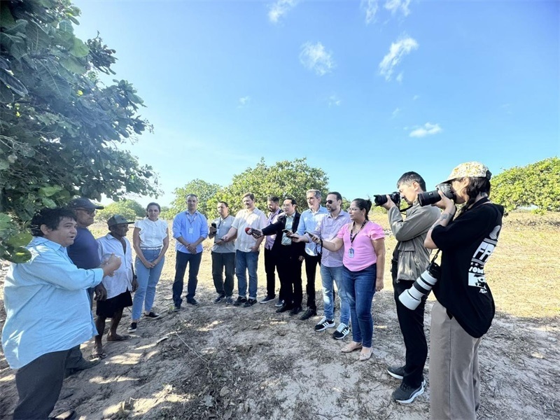 聯(lián)合采訪團(tuán)正在采訪中國企業(yè)在若昂卡馬拉市的扶貧開放項(xiàng)目 。孫佳攝