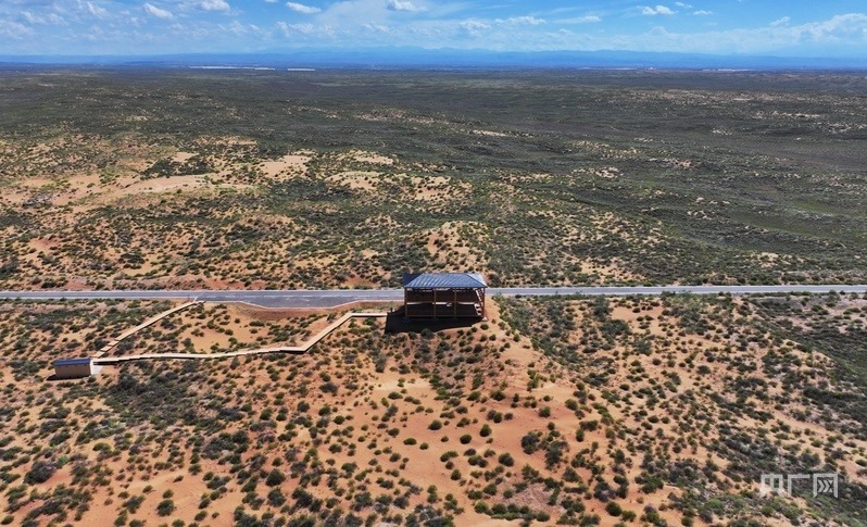 古浪縣一代代人治沙不息，讓綠色向沙漠深處不斷延伸（央廣網(wǎng)記者 李紅軍 攝）