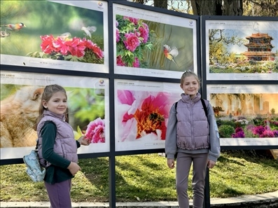 活動現(xiàn)場。中國駐保加利亞大使館供圖。