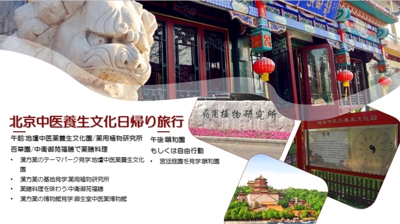 “你好！中國·休閑旅游—中國旅游說明會”宣講材料。中國駐東京旅游辦事處供圖