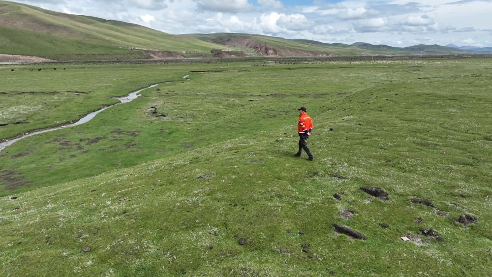 9月24日，生態(tài)管護(hù)員那瓦才郎在草場上巡護(hù)。（受訪者供圖）