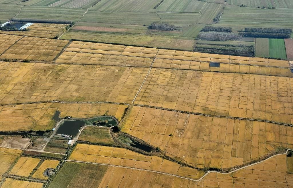 俯瞰黑龍江省哈爾濱市一處稻田（10月2日攝，無人機(jī)照片）。新華社記者 孫曉宇 攝