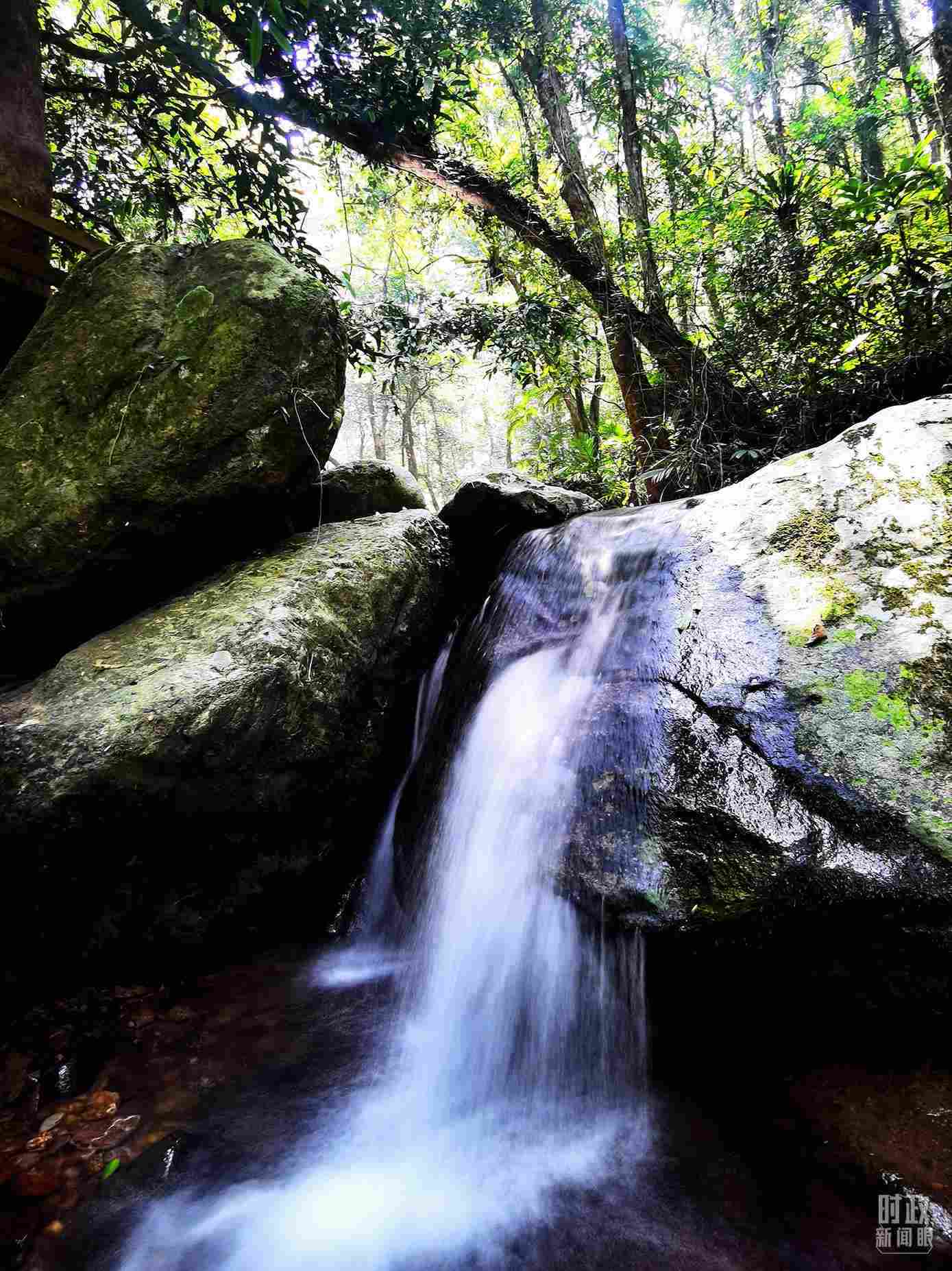 海南五指山。（總臺央視記者劉琦拍攝）