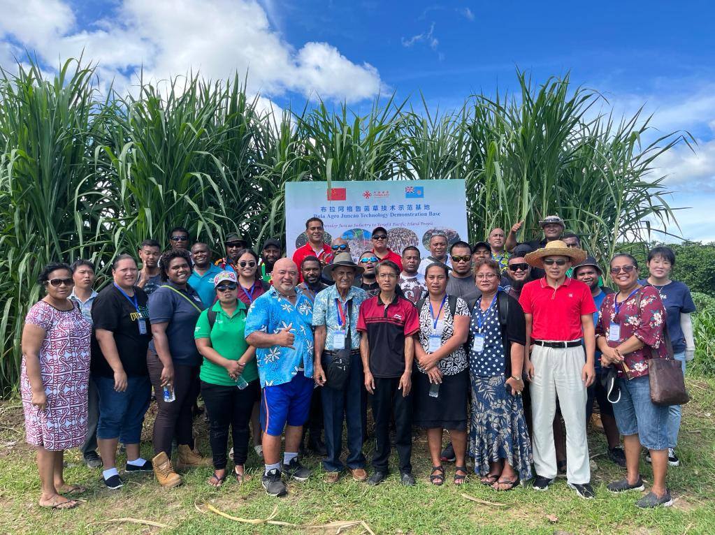 2024年2月28日，來自巴布亞新幾內(nèi)亞、湯加、庫克群島、薩摩亞、瑙魯?shù)葒业摹疤窖髰u國菌草技術(shù)培訓(xùn)班”學(xué)員在斐濟(jì)布拉阿格魯菌草技術(shù)示范基地合影。新華社發(fā)（中國援斐濟(jì)菌草技術(shù)示范中心供圖）