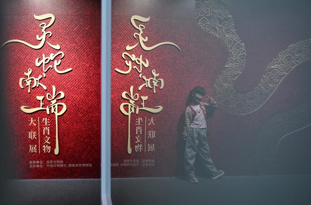 1月18日，一名小朋友在國家自然博物館舉辦的“靈蛇獻瑞——2025乙巳蛇年生肖文物大聯(lián)展”展覽中拍照留念。（新華社記者 陳鐘昊 攝）
