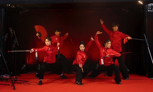 武術表演。中國駐芬蘭大使館供圖