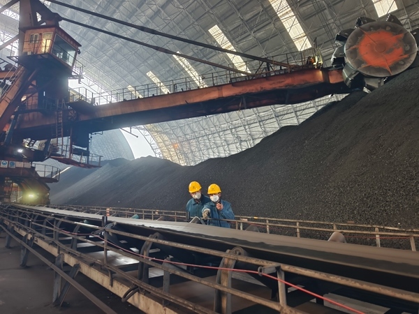 趙善國(guó)（右）和同事對(duì)電廠煤場(chǎng)進(jìn)行巡檢。受訪者供圖