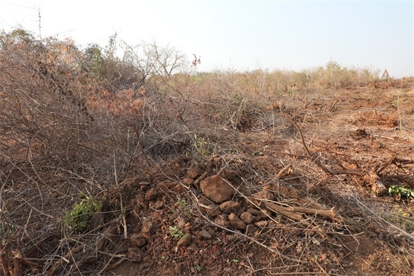 施工現(xiàn)場。張曉昆攝