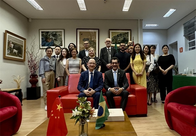 圖為參加座談會(huì)的來賓合影留念。 圣保羅州立大學(xué)孔子學(xué)院供圖