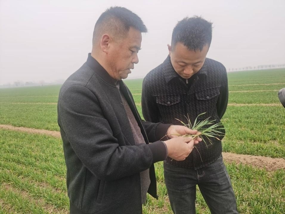 在山東濟(jì)寧汶上縣苑莊鎮(zhèn)，農(nóng)技員黃海龍對(duì)種糧大戶(hù)王振現(xiàn)場(chǎng)進(jìn)行春耕指導(dǎo)。人民網(wǎng)記者 車(chē)柯蒙攝