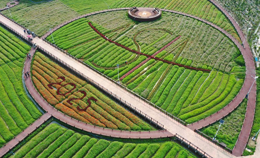 這是3月21日拍攝的瓊海博鰲南強(qiáng)村景色（無人機(jī)照片）。新華社記者 郭程 攝