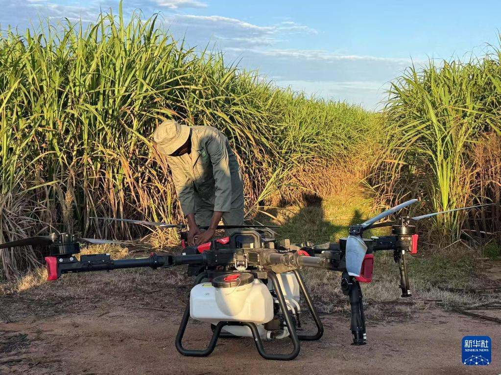 3月25日，在南非夸祖魯-納塔爾省的方廷希爾莊園，工作人員為無人機(jī)做起飛作業(yè)前的準(zhǔn)備。新華社記者 白舸 攝