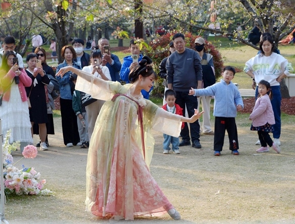 清明假期期間，上海顧村公園櫻花島上，游客在觀賞國風(fēng)漢服快閃表演。（圖片來源：視覺中國）